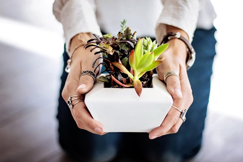 Upcycled Tin Can Planters