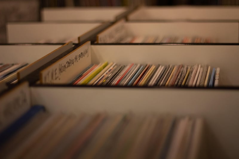 Vinyl record